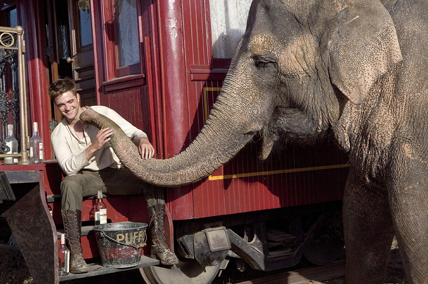 Animaux sauvages dans les cirques : Sans animaux, c'est voué à la  catastrophe